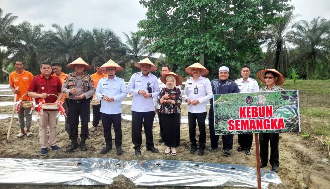 
					Usai Pananaman Semangka, Pj Sekda Kampar Ramlah Saksikan Pisah Sambut Kalapas Kelas II A Bangkinang   