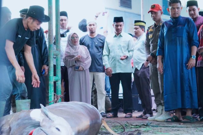 
					Bersama Keluarga Bupati dan Wabup, Saksikan Pemotongan Hewan Kurban di Islamic Centre Bangkinang   