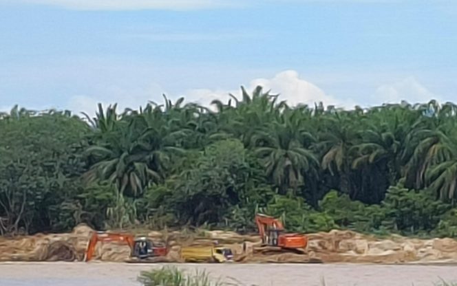 
					Tambang Galian C Ilegal di Duga Milik Oknum Ormas Beroperasi Bebas, “Ancam Kerusakan Sungai Batang Kumu”.