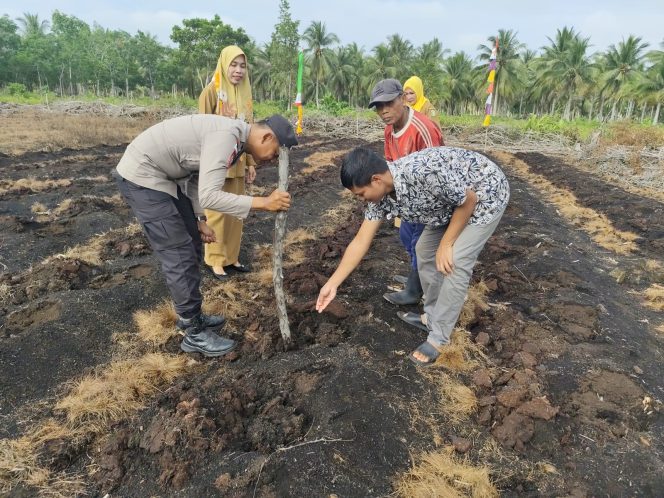 
					Dukung Ketahanan Pangan Nasional, Polsek Rangsang Tanam Jagung Pipil 0,5 Hektare di Desa Betina